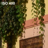ISO 400 - 100% výřez z fotografie bez úprav.