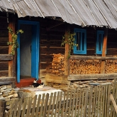 Klasický dřevěný domek v Koločavě | fotografie
