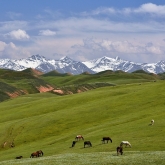 Kyrgyzská krajinka | fotografie