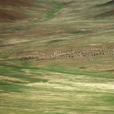 Někde v Mongolských stepích .... | fotografie