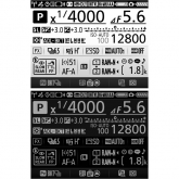 Nikon D750 - LCD monitor s informacemi v denním a nočním módu