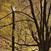 Osadní totem T.O. Bílý jelen | fotografie