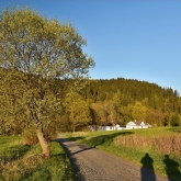 Reinmühle | fotografie